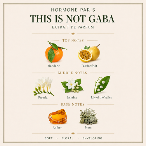 Hormone Paris - This is not Gaba