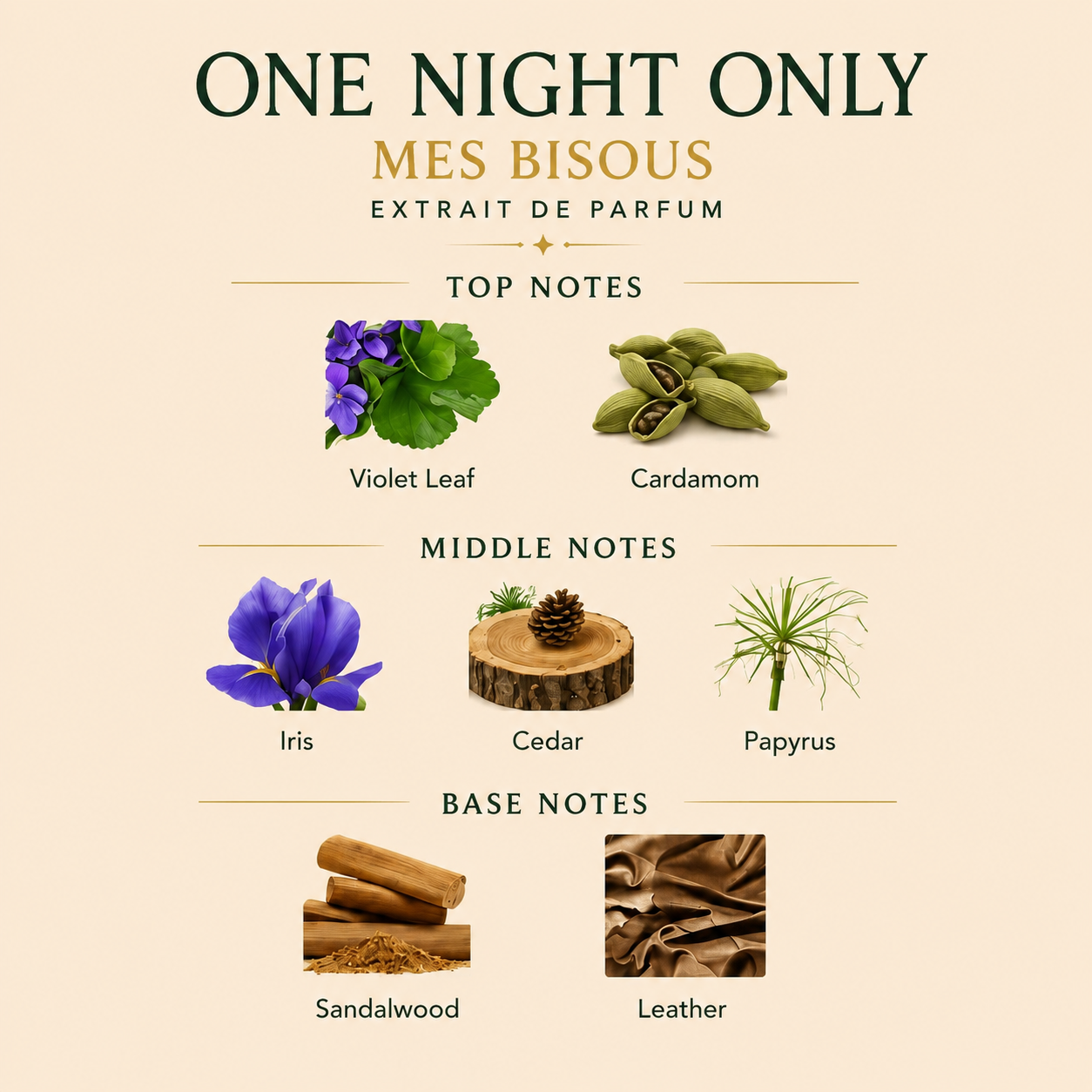 Mes Bisous - One night Only